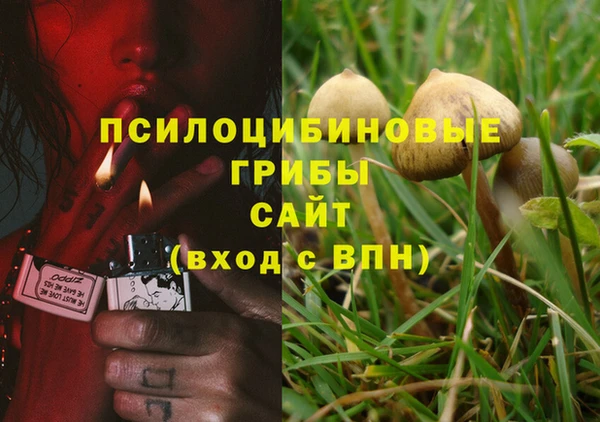 круглые Алексин