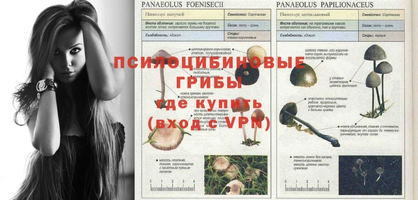мескалин Алексеевка