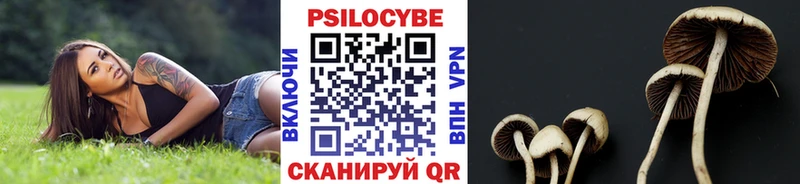 купить   Ветлуга  Псилоцибиновые грибы прущие грибы 
